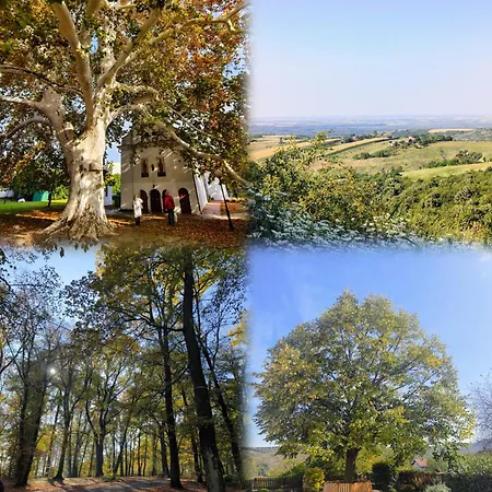 Quiet And Bright - Near Bus Station & Free Parking Novi Sad