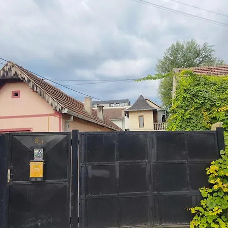 Quiet And Bright - Near Bus Station & Free Parking Novi Sad