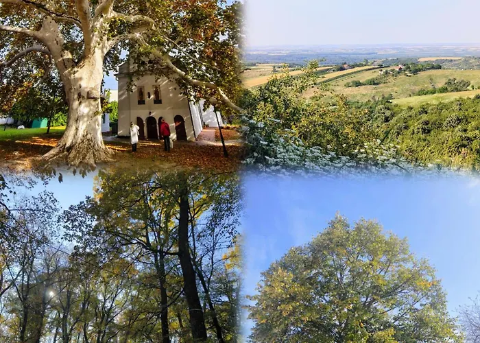 Quiet And Bright - Near Bus Station & Free Parking Novi Sad