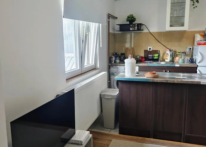 Lägenhet Quiet And Bright - Near Bus Station & Free Parking Novi Sad